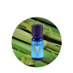 Aceite Esencial de Eucalipto Dives — imagen 3