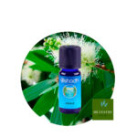 Aceite Esencial de Fokienia (Madera de Siam) — imagen 3
