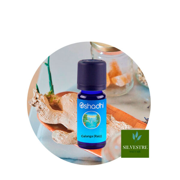 Aceite Esencial de Galanga (Raíz)