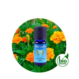 Aceite Esencial de Gálbano — imagen 6