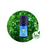 Aceite Esencial de Hisopo Decumbens BIO — imagen 3