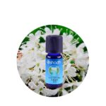 Aceite Esencial de Jengibre — imagen 3