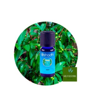 Aceite Esencial de Lavanda de Kashmir — imagen 6