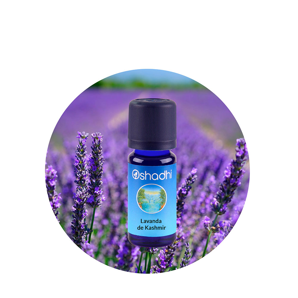 Aceite Esencial de Lavanda de Kashmir — imagen 2