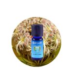 Aceite Esencial de Lavanda Highland — imagen 2