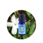 Aceite Esencial de Litsea — imagen 2