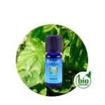 Aceite Esencial de Litsea — imagen 3