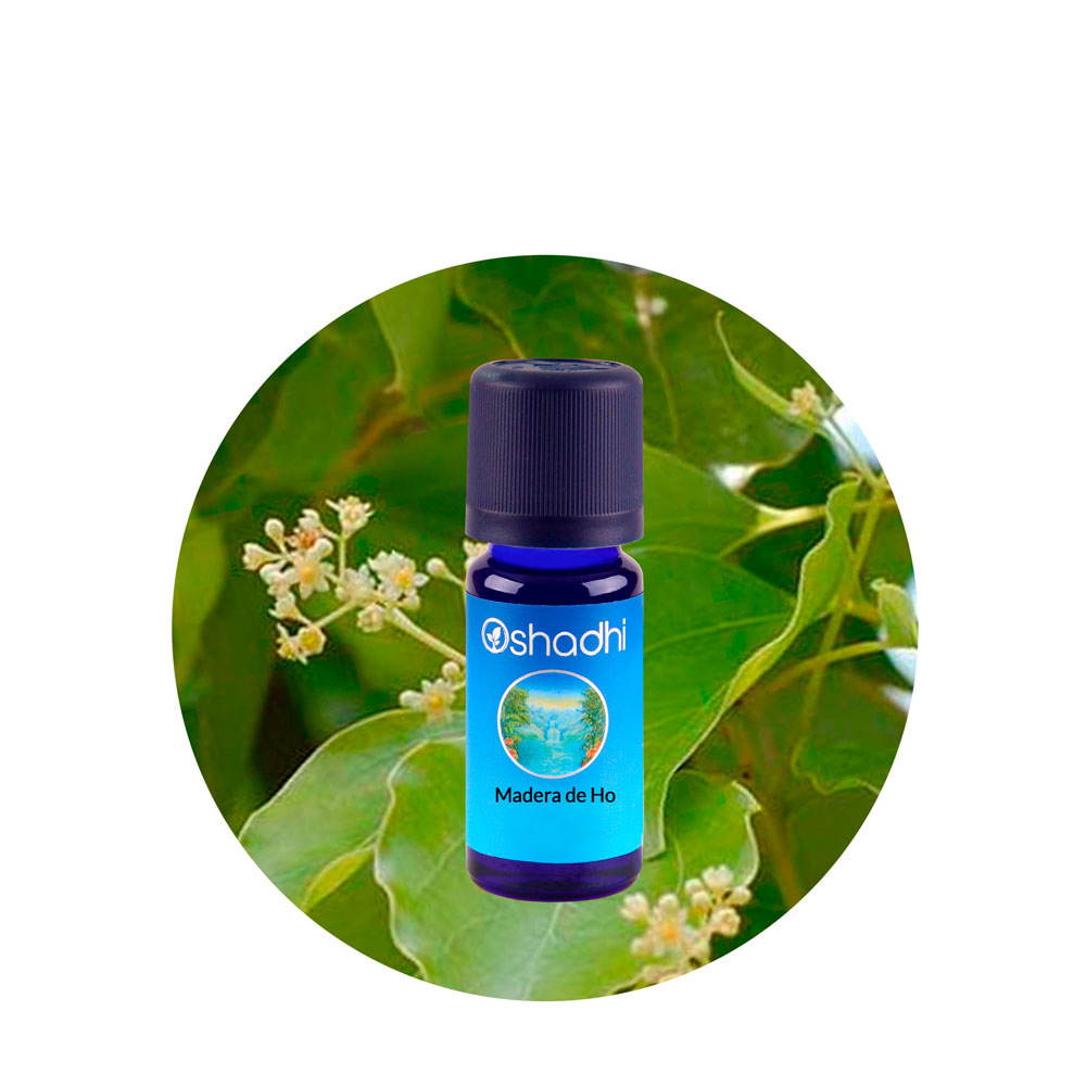 Aceite Esencial de Madera de Ho — imagen 2