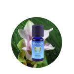 Aceite Esencial de Manuka — imagen 3