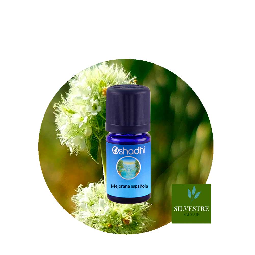 Aceite Esencial de Mejorana Española