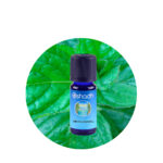 Aceite Esencial de Melisa — imagen 3