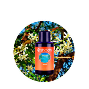Aceite Esencial de Palo de Rosa — imagen 5