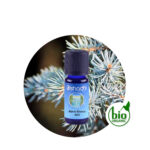Aceite Esencial de Pino Patagonia — imagen 3