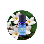 Aceite Esencial de Romero Highland (Piramidal) — imagen 2