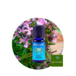 Aceite Esencial de Romero Highland (Piramidal) — imagen 3