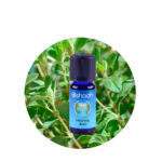 Aceite Esencial de Tomillo (Thymol) — imagen 3