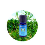 Aceite Esencial de Visnaga — imagen 3