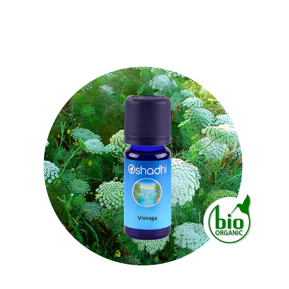 Aceite Esencial de Visnaga — imagen 2