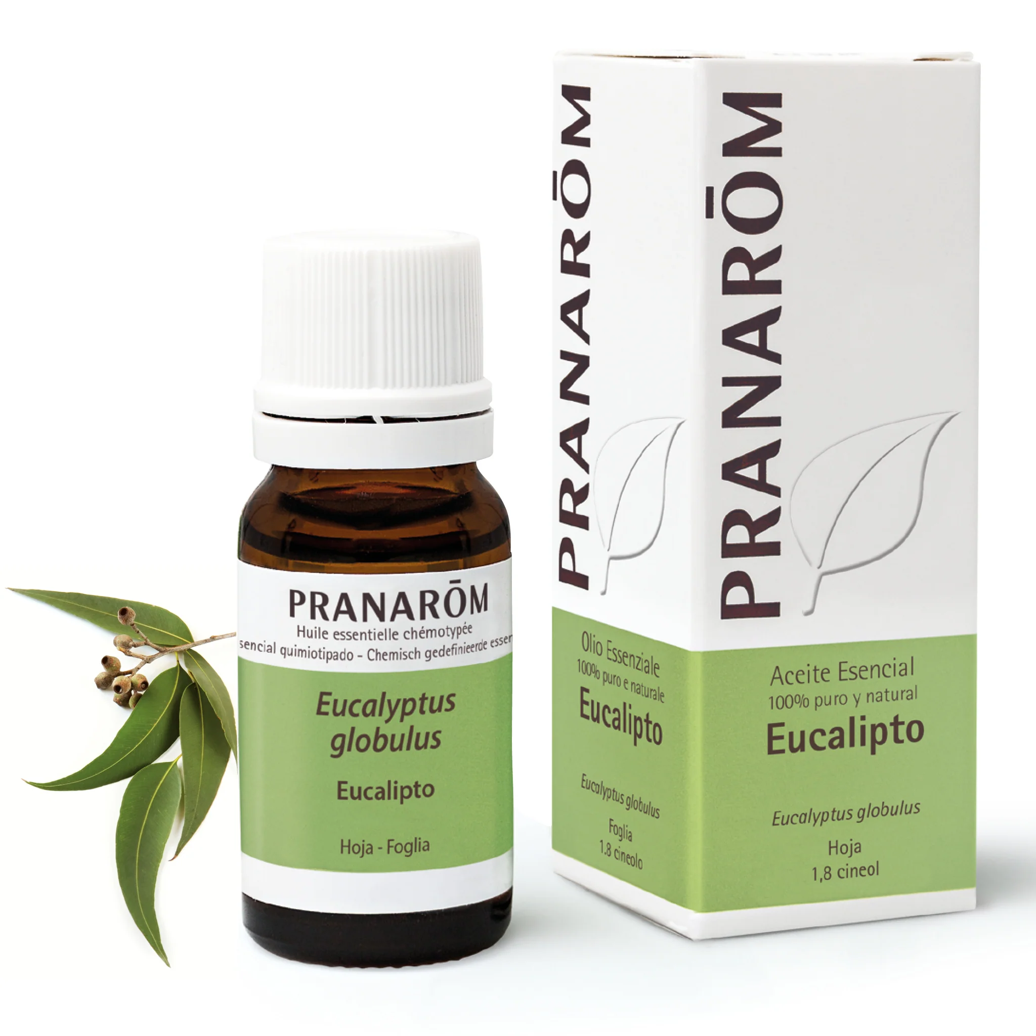Aceite Esencial Eucalipto 10 ml