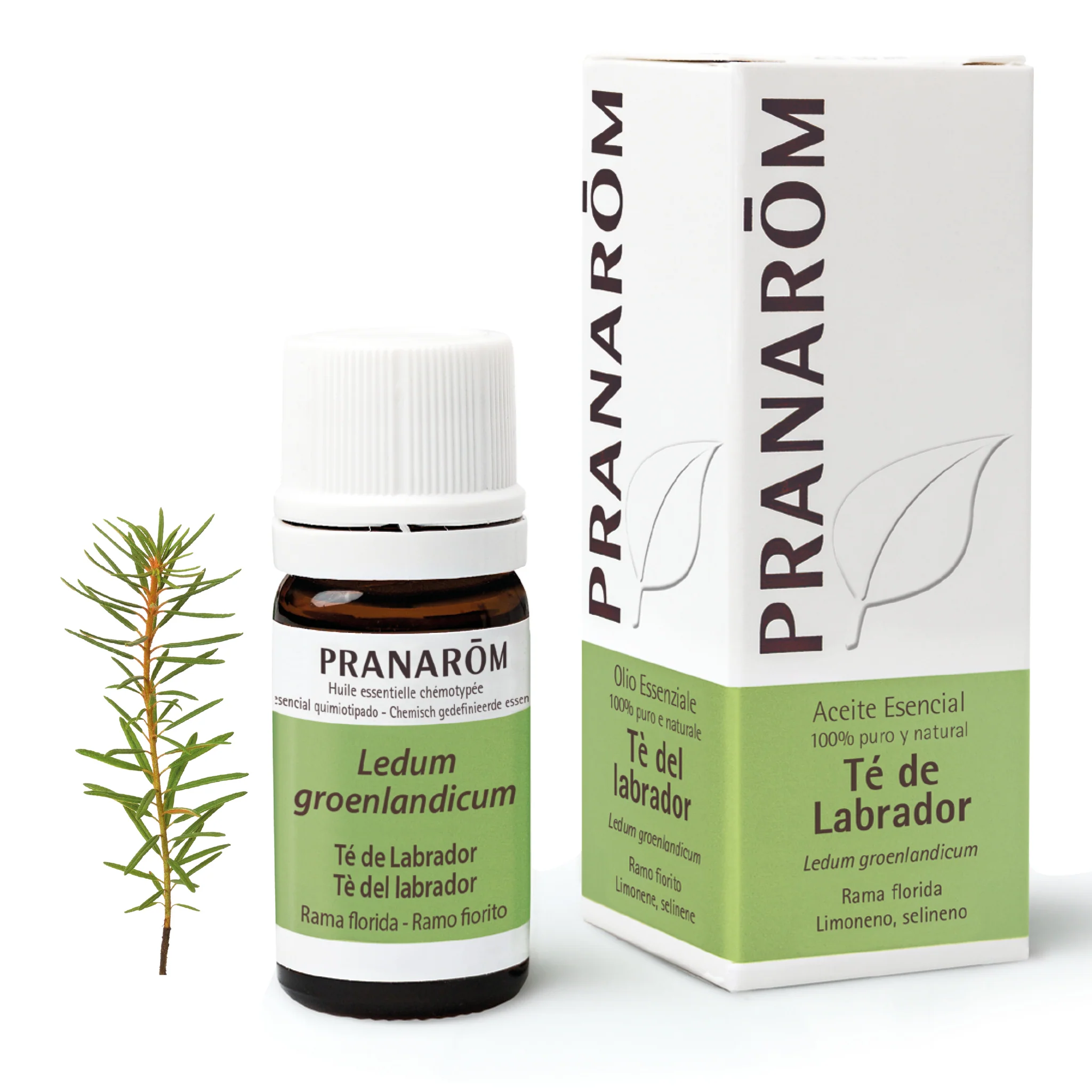 Aceite Esencial Té de Labrador 5 ml