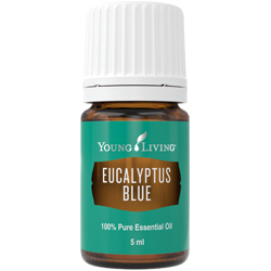 Aceite Esencial de Eucalipto Azul — imagen 4