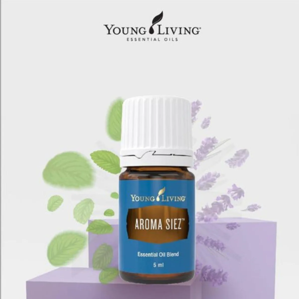Aroma Siez — imagen 5