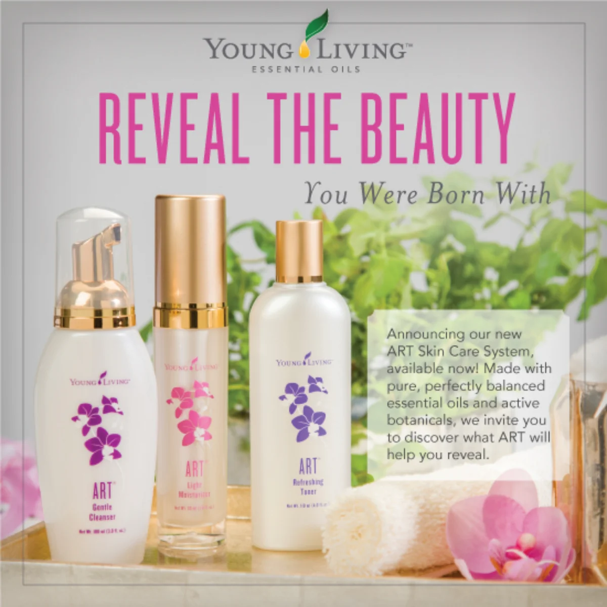 ART Skin Care System — imagen 3