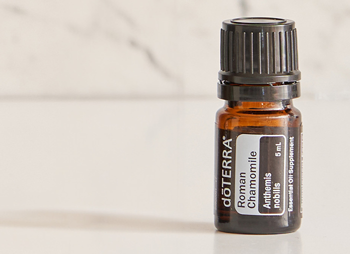 Roman Chamomile Essential Oil — imagen 3