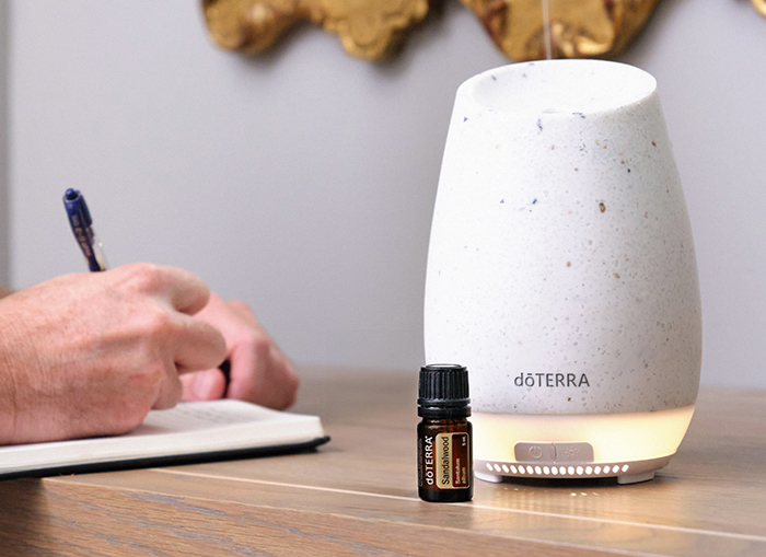 Sandalwood Essential Oil — imagen 4
