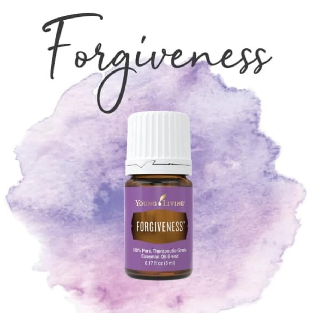 Forgiveness — imagen 4