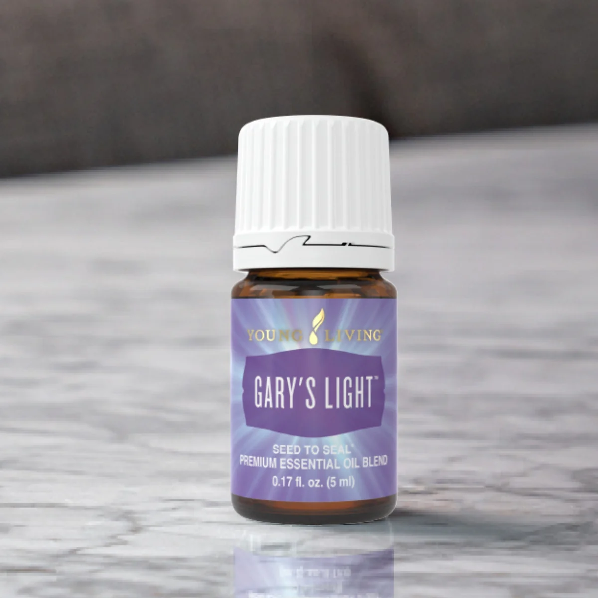 Gary's Light — imagen 4