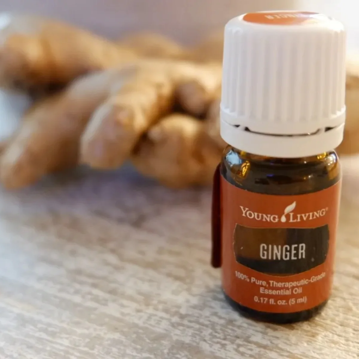 Ginger+ — imagen 4