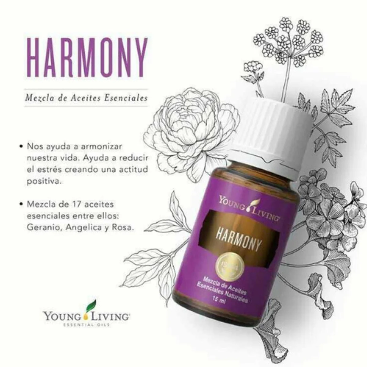 Harmony — imagen 3