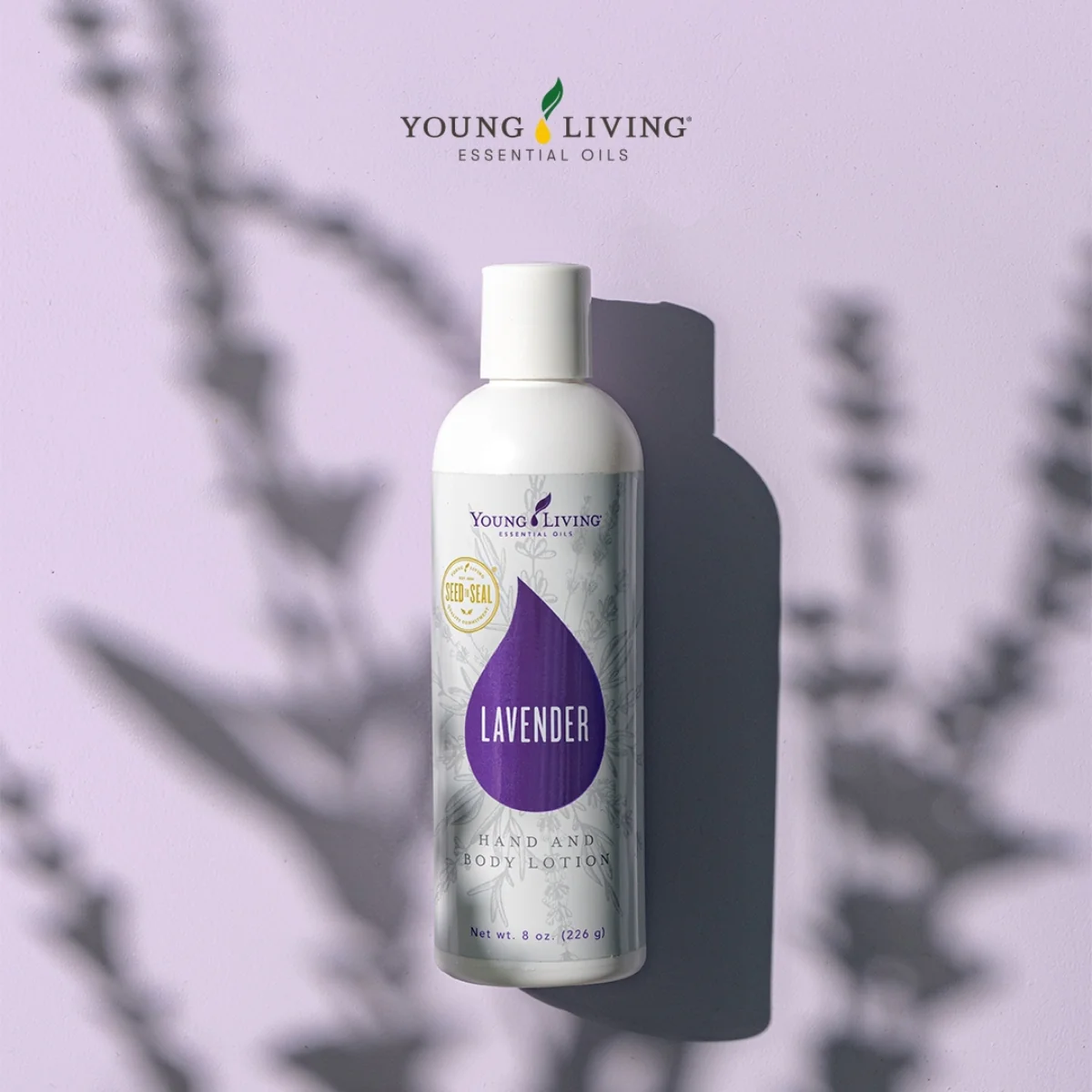 Lavender Hand & Body Lotion — imagen 3