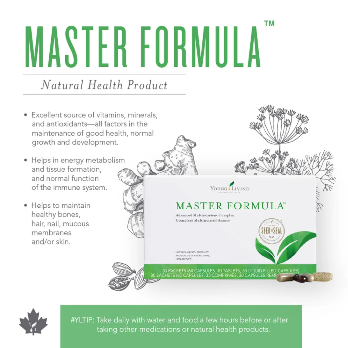 Master Formula — imagen 4