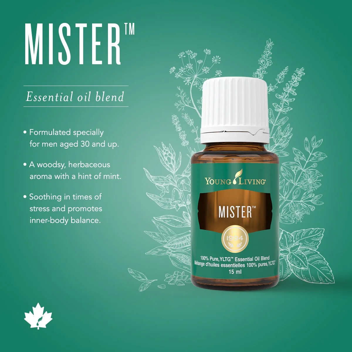 Mister — imagen 4