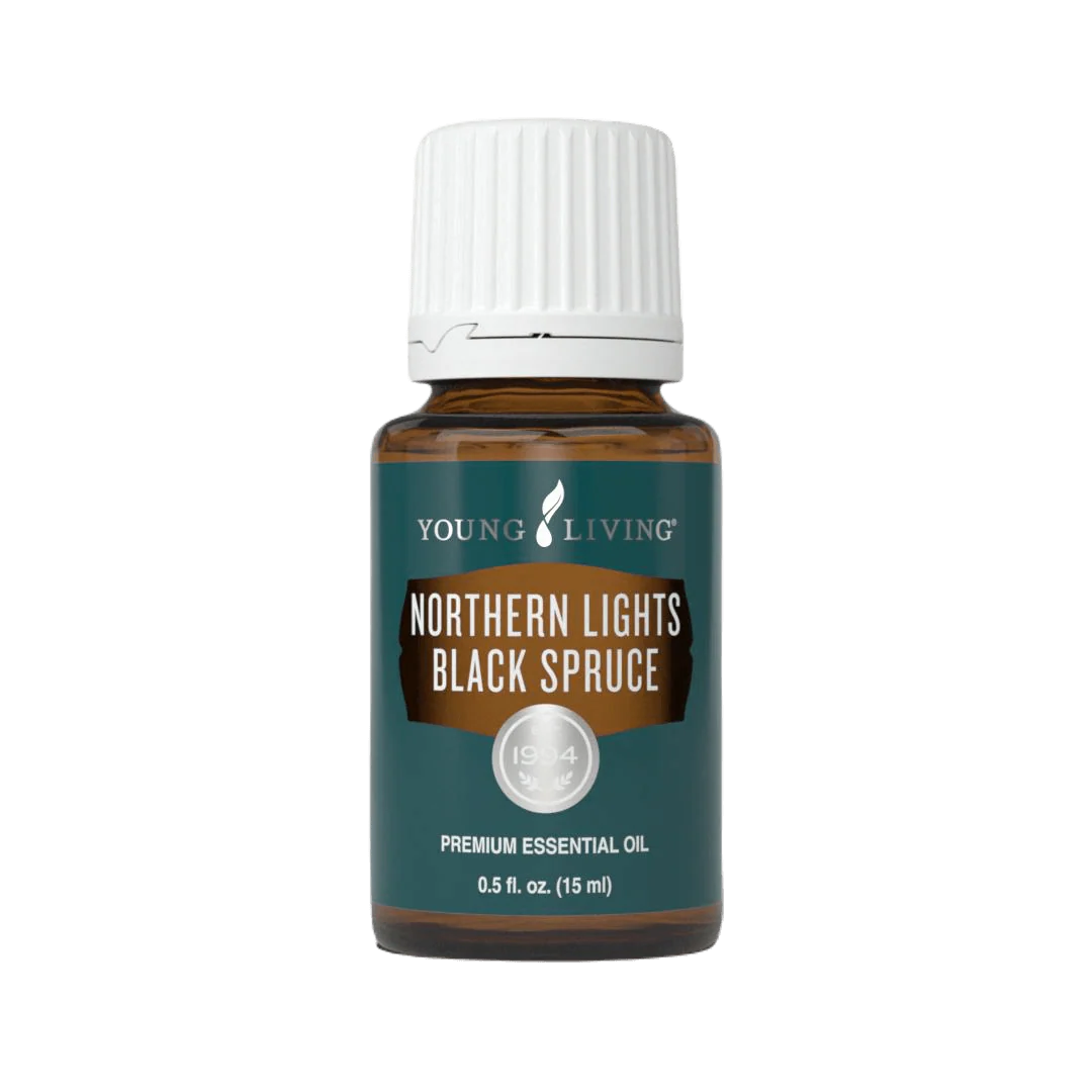 Northern Lights Black Spruce — imagen 3