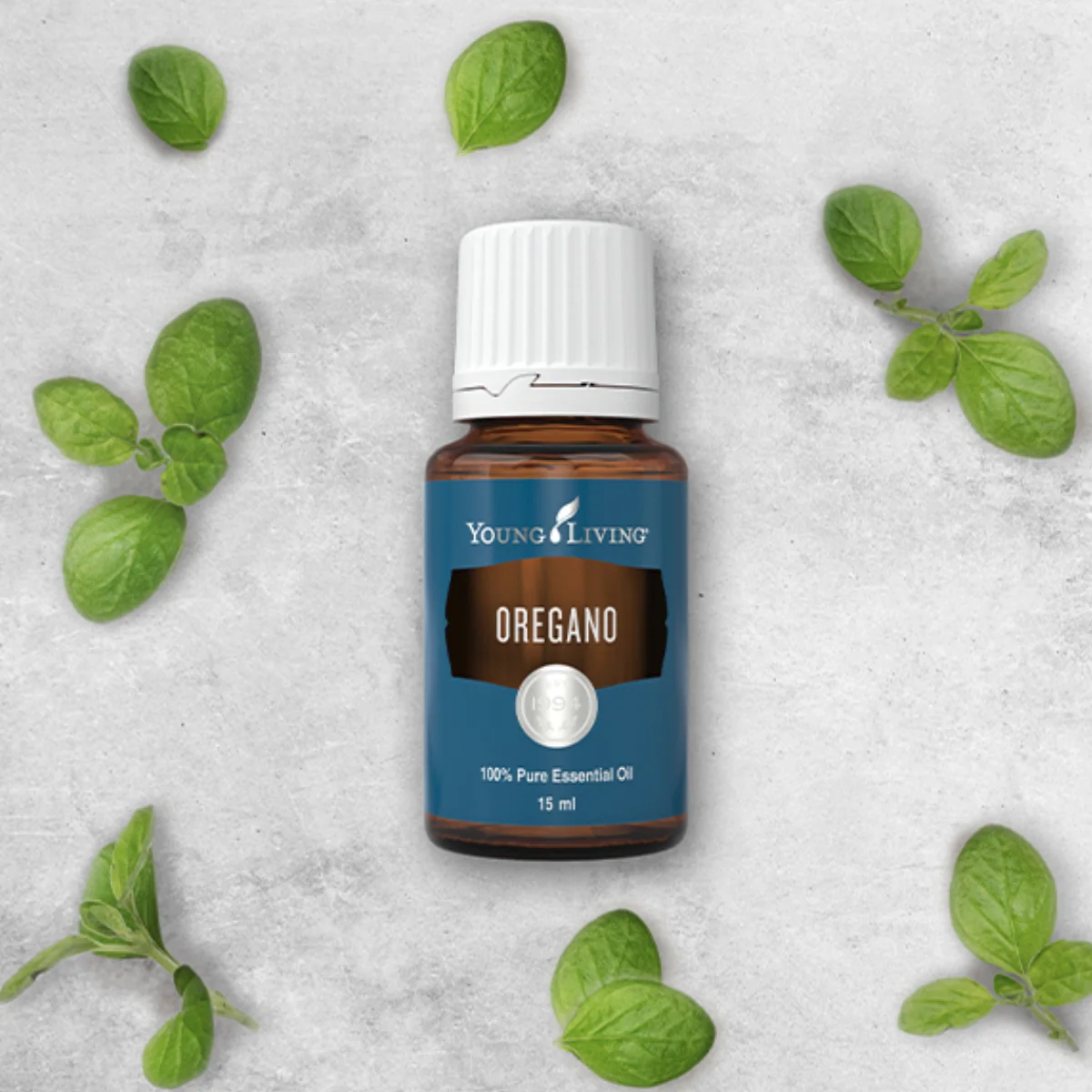 Oregano+ — imagen 3