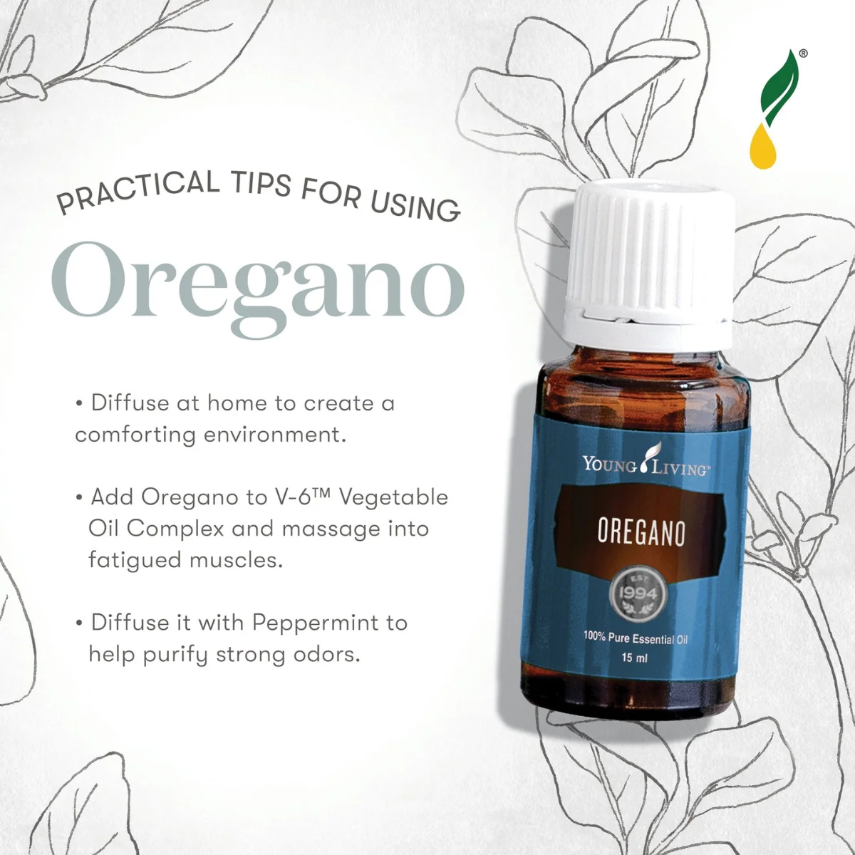 Oregano+ — imagen 4