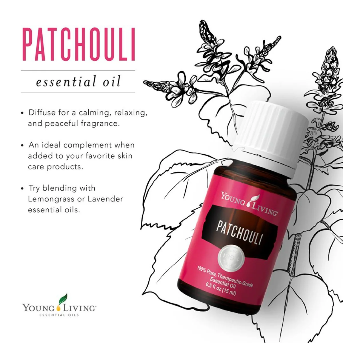 Patchouli — imagen 5