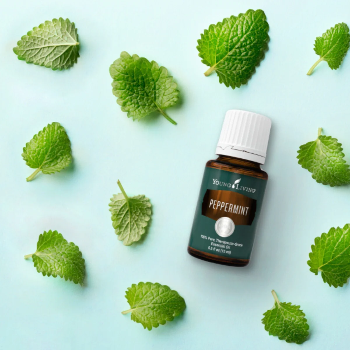 Peppermint+ — imagen 3