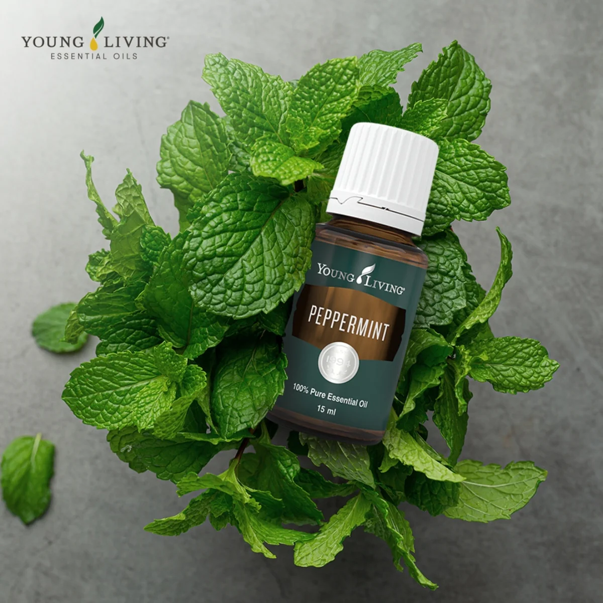 Peppermint+ — imagen 5