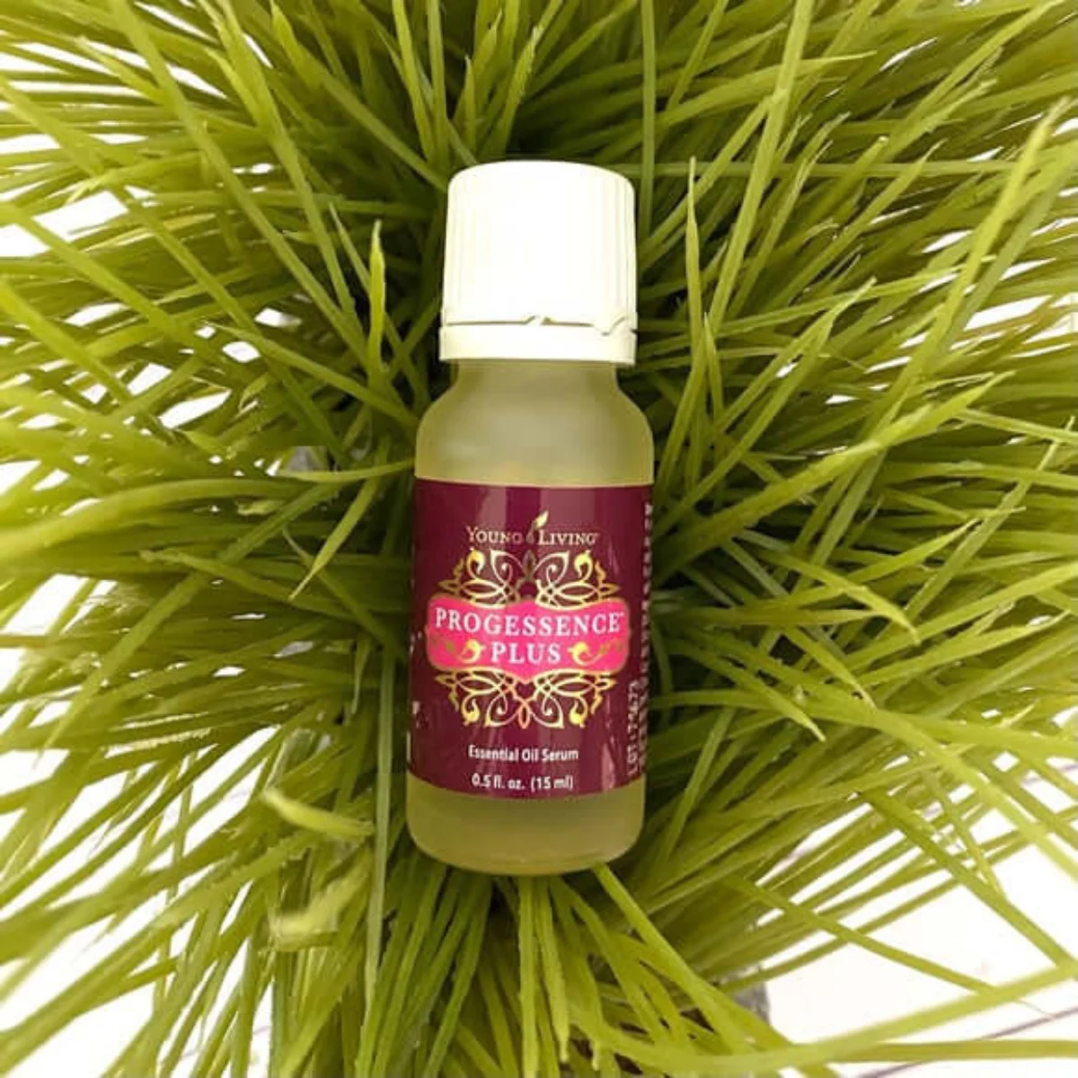 Progessence Phyto Plus — imagen 5