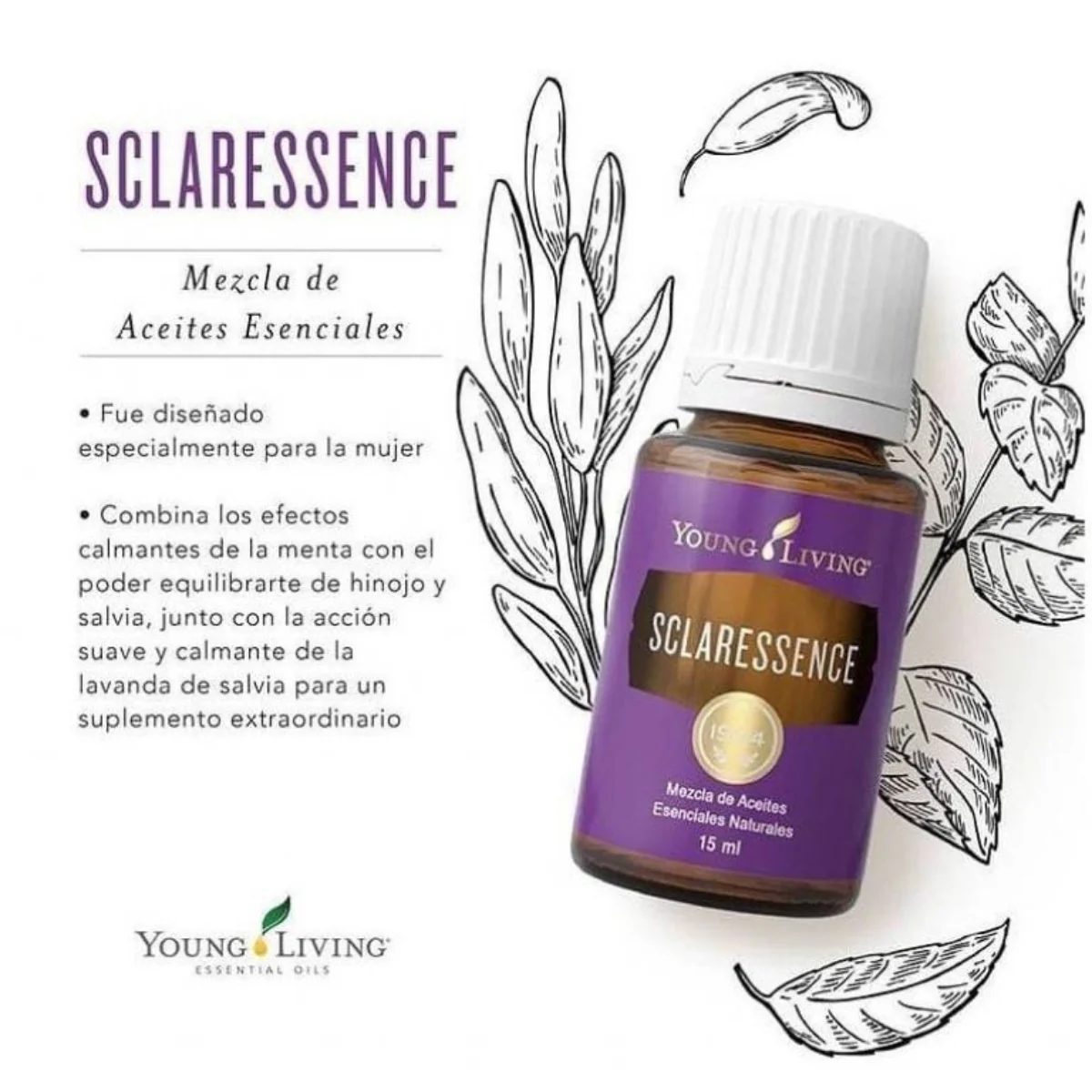 SclarEssence — imagen 4