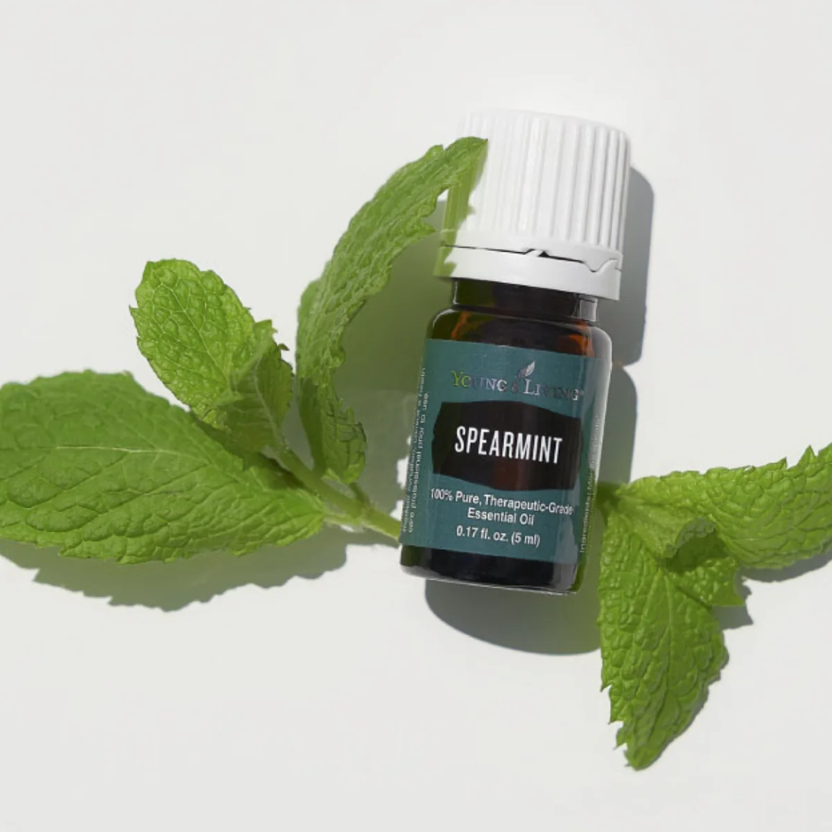 Spearmint Essential Oil — imagen 3