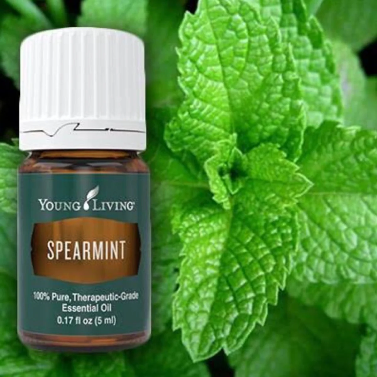 Spearmint Essential Oil — imagen 6