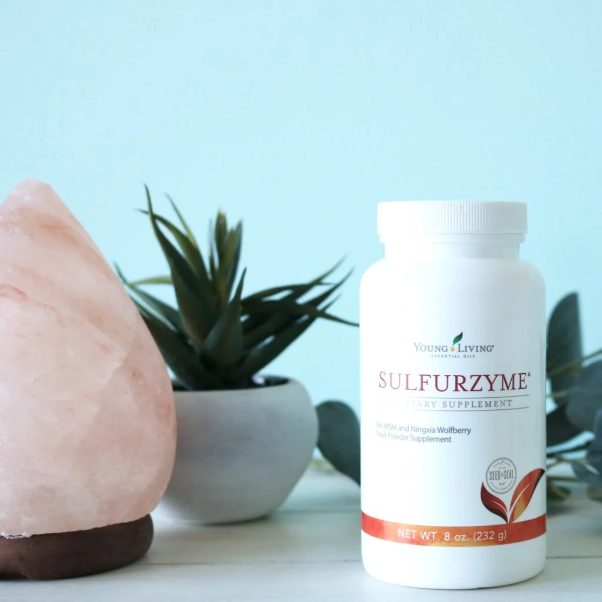Sulfurzyme — imagen 4