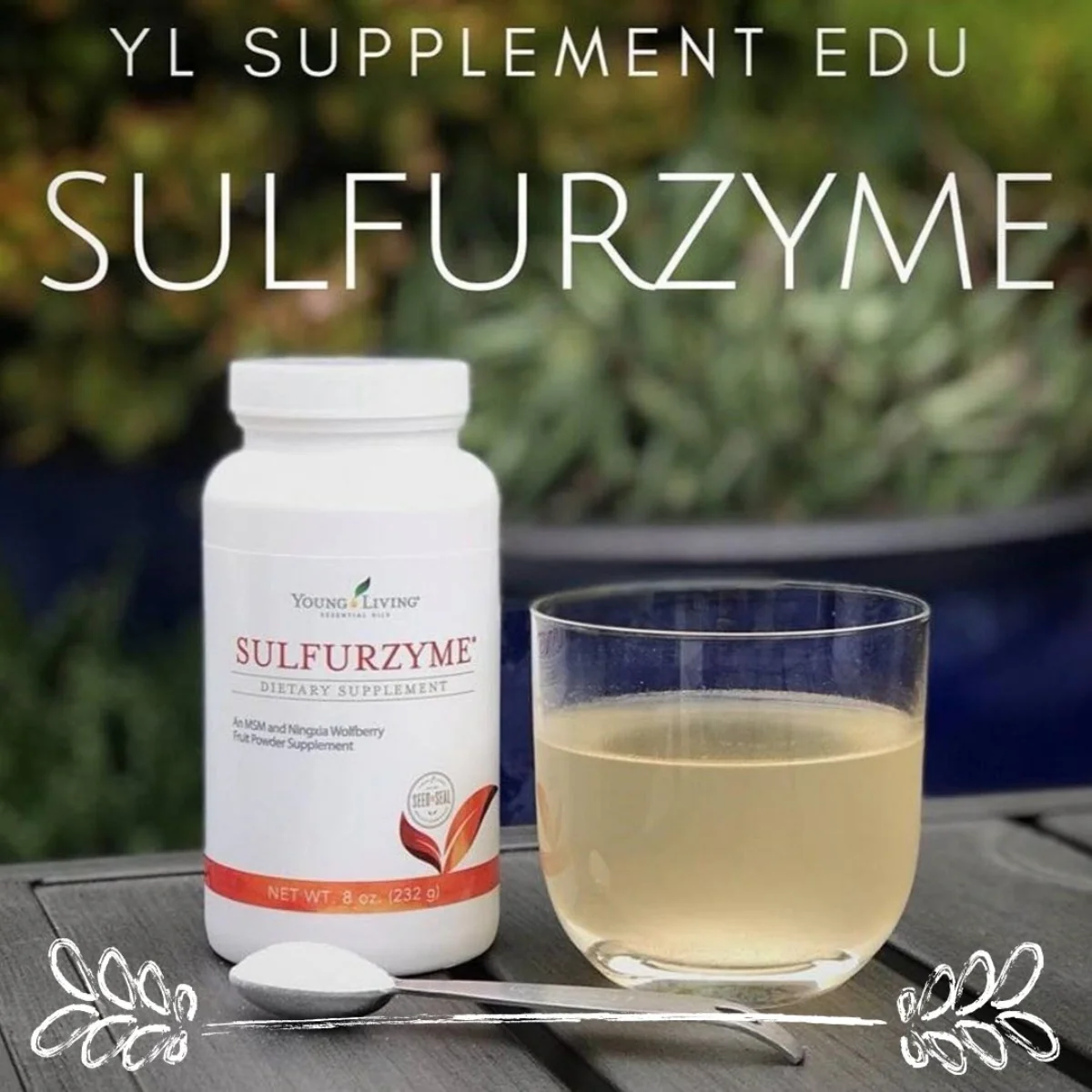 Sulfurzyme — imagen 5