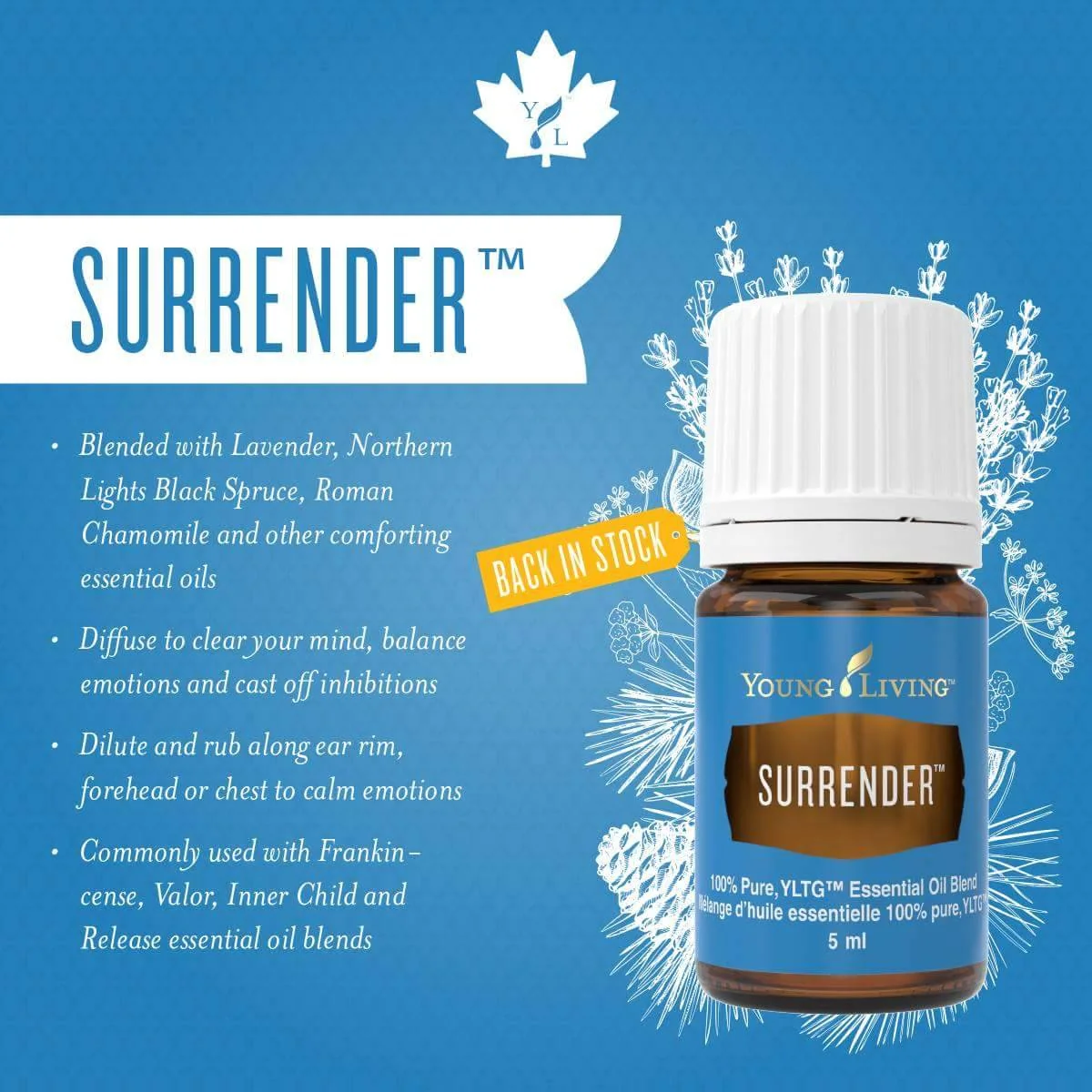 Surrender — imagen 5