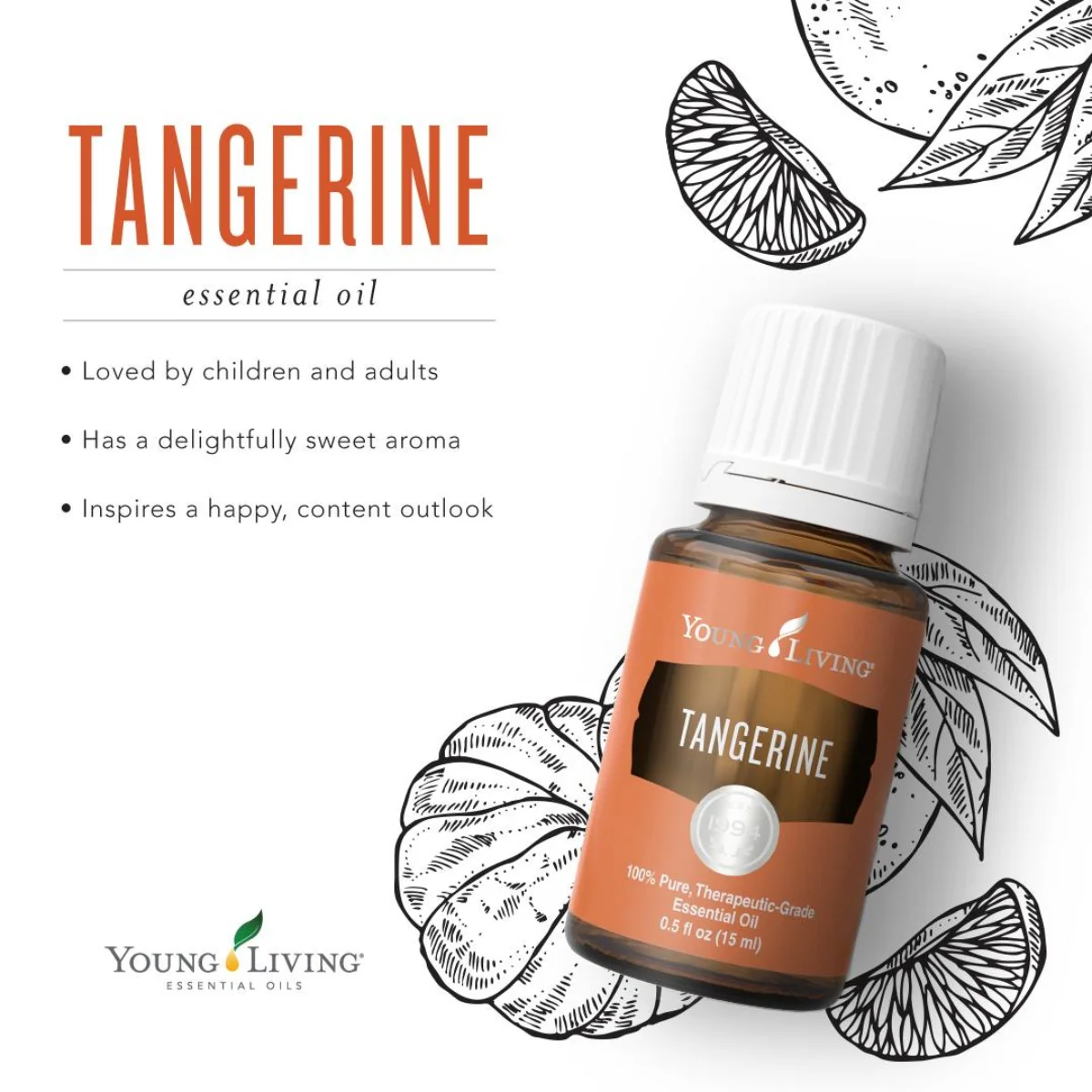 Tangerine+ — imagen 5